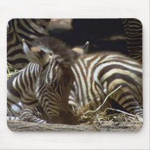 Zebra bonito do bebê mousepad
