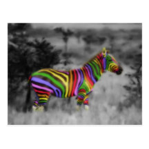 Zebra do arco-íris cartao postal