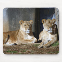 ZooLions05 Mousepad