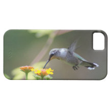 Zumbido avante capas de iPhone 5 Case-Mate