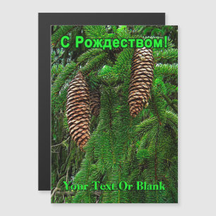 С Р о ж е д с т в о м - Cones E Agulhas