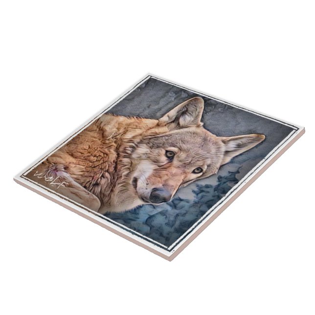 オオカミ タイル (Lateral)