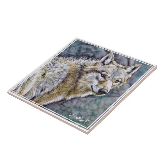 オ オ カ ミ (Lateral)