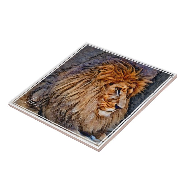 ラ イ オ ン タ イ ル (Lateral)