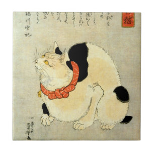 日本猫, gato japonês do 国芳, Kuniyoshi, Ukiyo-e