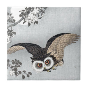 月 と フ ロ ウ, 古 ク Flying Owl & Moon, Ko