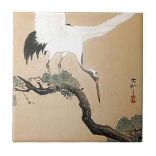 松に鶴, guindaste do 古邨 no pinheiro, Koson,