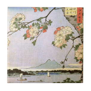 江戸の桜, flores de cerejeira do 広重 de Edo