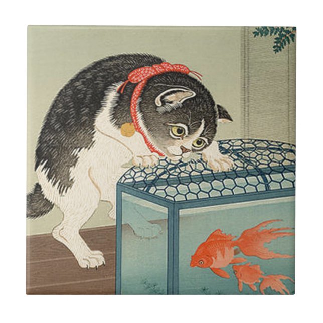 猫と金魚, gato do 古邨 & peixe dourado, Koson, Ukiyo-e (Frente)