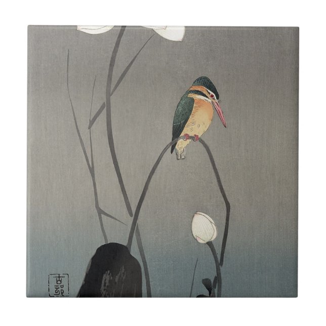 蓮にカワセミ, martinho pescatore em Lotus, Koson do 古邨, (Frente)