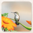 Pesquisar por hummingbird porta copos Natureza