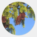 Pesquisar por madeira vermelha adesivos Natureza