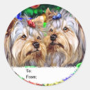 Pesquisar por yorkshire terrier adesivos Cães