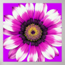 Pesquisar por roxo da flor pósteres pôsteres Botânica