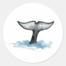 Pesquisar por orca adesivos Ilustração