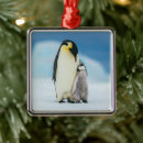 Pesquisar por pinguim imperador ornamentos Animais selvagens