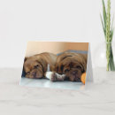 Pesquisar por bordéus cartoes Cão