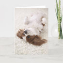 Pesquisar por partes do corpo cartoes Tiro de estúdio