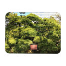 Pesquisar por japão tradicional imas Turismo