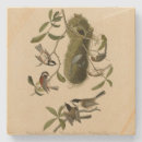 Pesquisar por galinha porta copos Ilustração