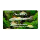 Pesquisar por cogumelo etiquetas Floresta