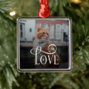 Pesquisar por amor do gato For pets