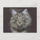 Pesquisar por gato novo cartoes postais Cão