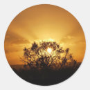 Pesquisar por silhueta da árvore adesivos Sol