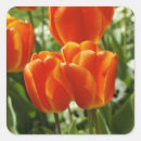 Pesquisar por tulips adesivos Arte