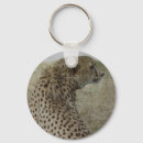 Pesquisar por chita chaveiros Animais selvagens