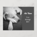 Pesquisar por pata cão cartoes postais Impressão