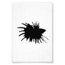 Pesquisar por betta pôsteres Peixes