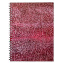 Pesquisar por rachadura escritorio escola Vermelho