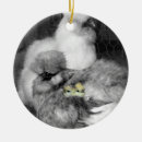 Pesquisar por seda ornamentos Animal