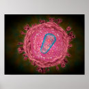 Pesquisar por hiv pósteres pôsteres Detalhe