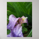 Pesquisar por debaixo pósteres pôsteres Água