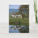 Pesquisar por execução vertical cartoes Animal