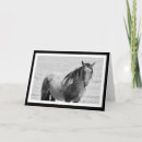 Pesquisar por cavalos selvagens mustang cartoes Deserto