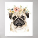 Pesquisar por cachorro do pug pôsteres Cão