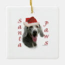 Pesquisar por cão weimaraner ornamentos Natal