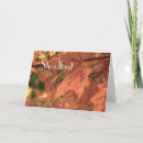 Pesquisar por mateus cartoes Inspiração