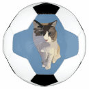 Pesquisar por gatos bola futebol Amante de gatos