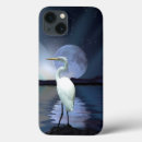 Pesquisar por grande egret branco Animais selvagens