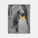 Pesquisar por pinguim mantas Animal