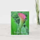 Pesquisar por calla lily flower cartoes postais Thank you