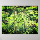 Pesquisar por cabeça flor pósteres pôsteres For her