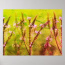 Pesquisar por flores selvagens artes pôsteres Mother