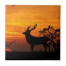 Pesquisar por fanfarrão azulejos Antlers