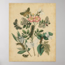 Pesquisar por flower of life pôsteres Flowers