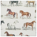 Pesquisar por raça do cavalo Equestre